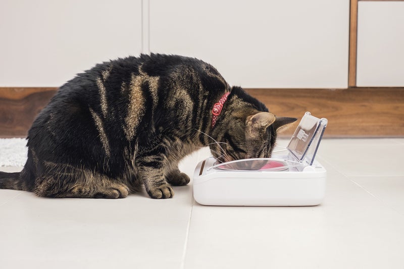 SureFlap Sure Petcare - SureFeed - Motion Activated Sealed Pet Bowl - NOT Microchip Activated - Image 2